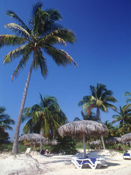  , ,   - Cuba, Averest