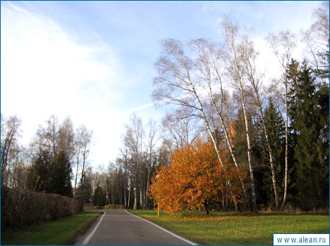 ,   - Russia, Averest