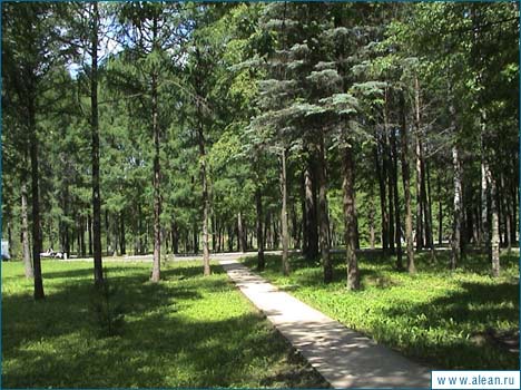 ,   - Russia, Averest